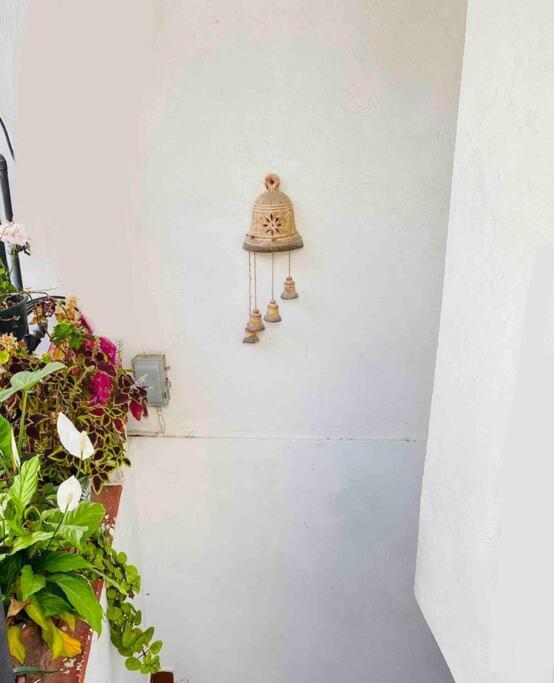 Bonito Y Comodo Departamento En Taxco! Apartamento Exterior foto